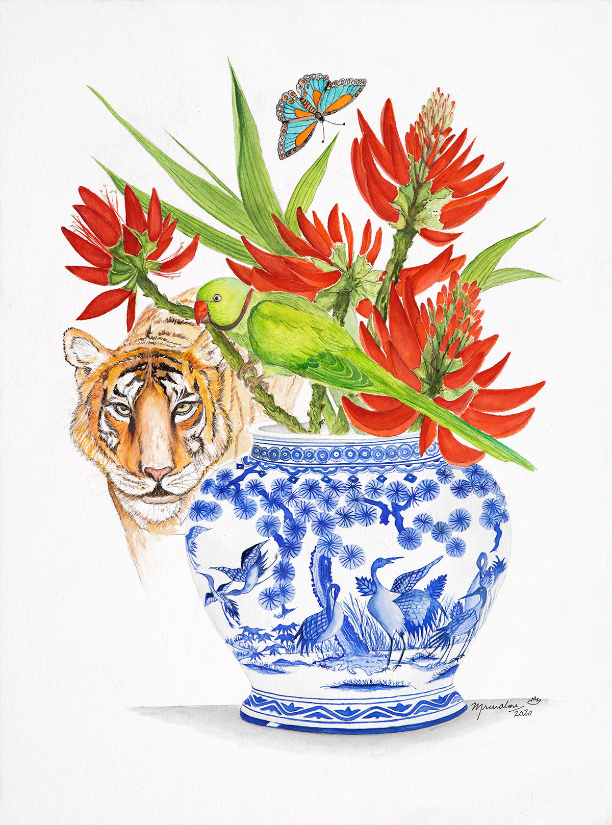 Queen of Ranthambhore - Arrowhead