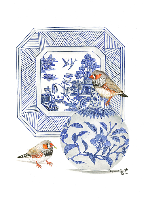 Zebra Finches & A Blue Willow Plate