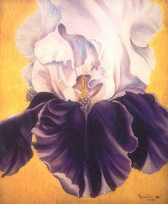 Iris, Margarita