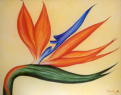 Bird of Paradise