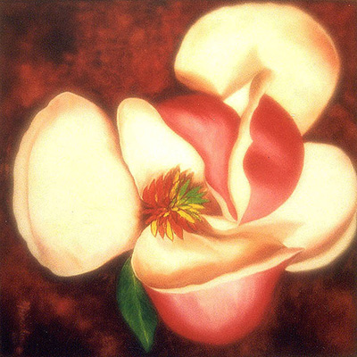 Magnolia