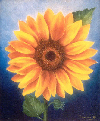 Girasol