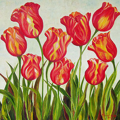 Tulips