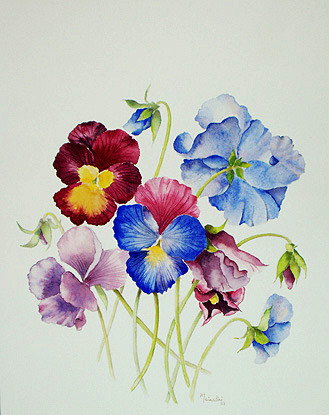 Watercolours